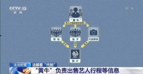 明星代拍产业链app,APP背后的秘密与影响