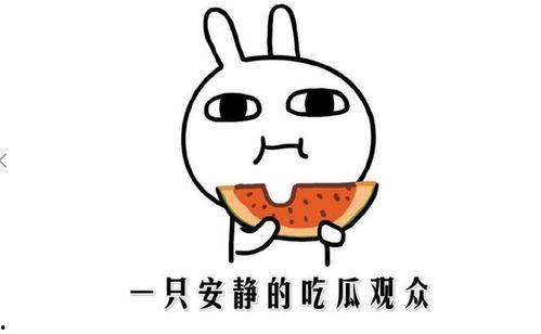 吃瓜事件什么意思